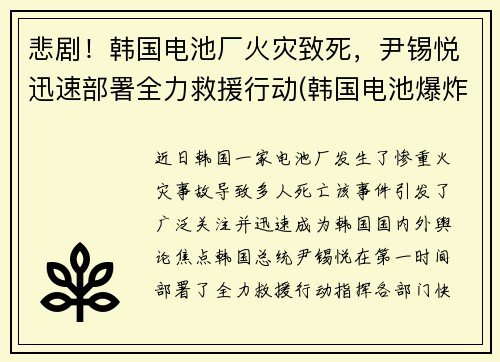 悲剧！韩国电池厂火灾致死，尹锡悦迅速部署全力救援行动(韩国电池爆炸)