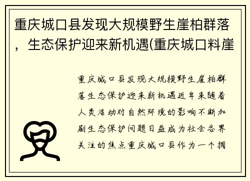 重庆城口县发现大规模野生崖柏群落，生态保护迎来新机遇(重庆城口料崖柏)