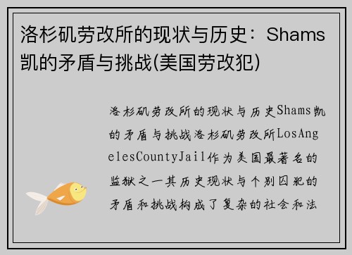 洛杉矶劳改所的现状与历史：Shams 凯的矛盾与挑战(美国劳改犯)